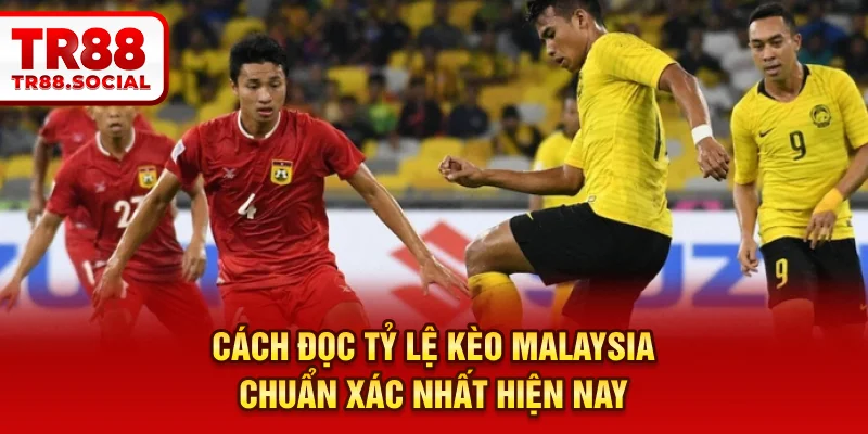 Cách đọc tỷ lệ kèo Malaysia chuẩn xác nhất hiện nay